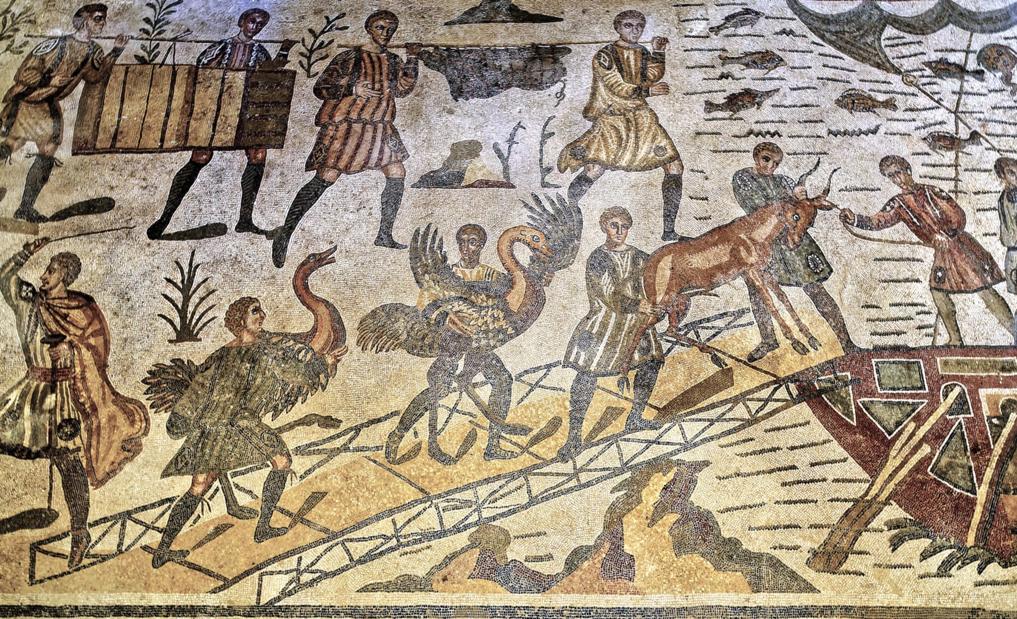 Ostrich on the menu - Nunc est bibendum