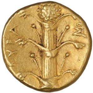 Pièce d'or de Cyrène, datée entre 308 et 277 av. J.-C., représentant un plant de silphium.