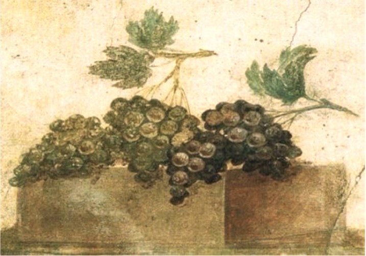 Peinture murale de Pompéi: grappes de raisin
